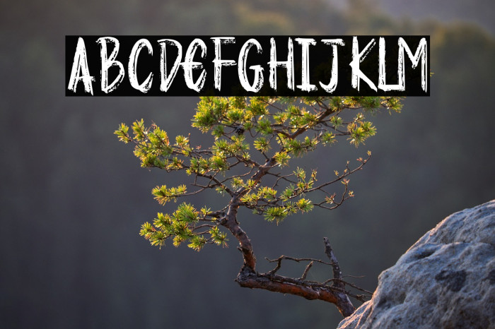 Sweet Disposition Example 2