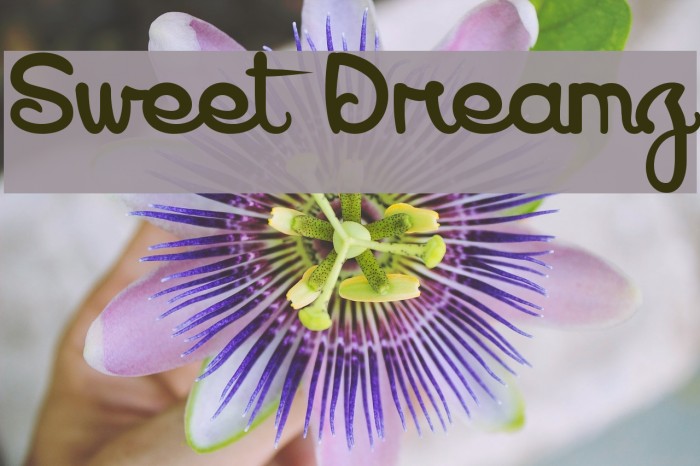 Sweet Dreamz Font examples