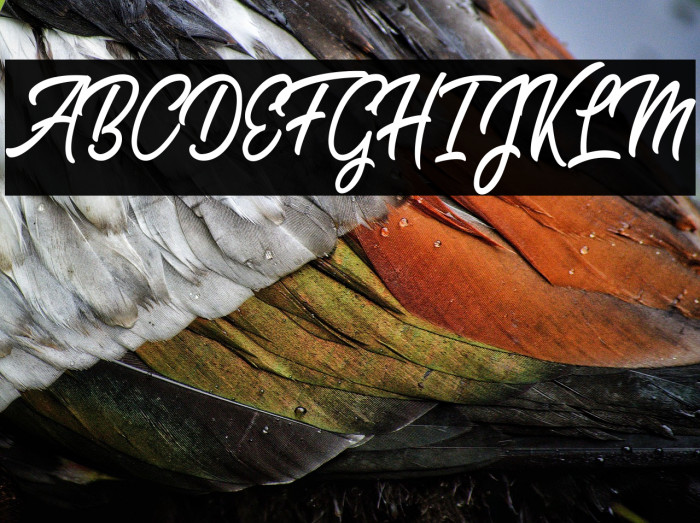 Sweet Easy Personal Use  Example 1