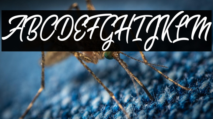 Sweet Easy Personal Use  Example 2