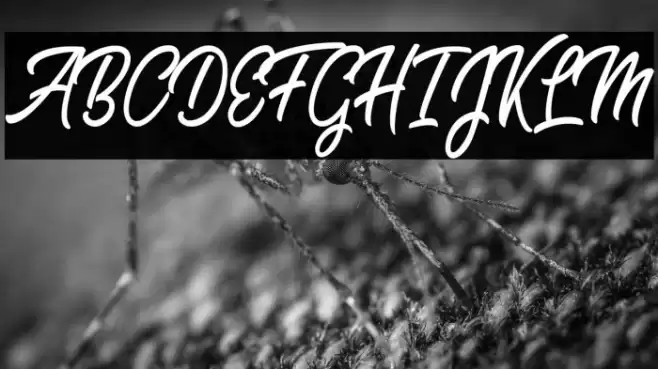 Sweet Easy Personal Use Font examples