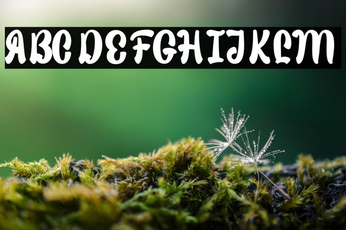 Sweet Fig Personal Use Example 2