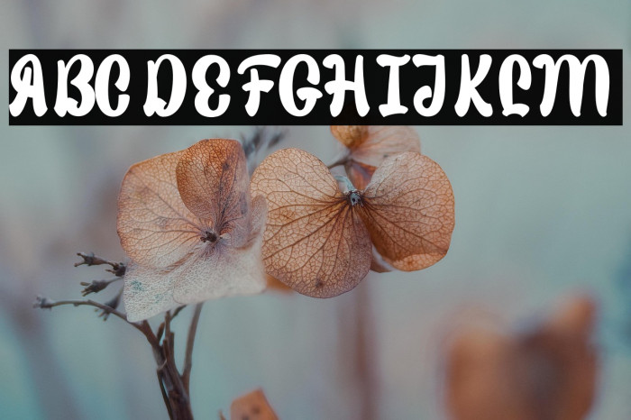 Sweet Fig Personal Use Example 3