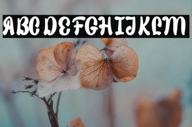 Sweet Fig Personal Use Example 3