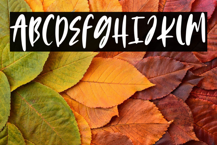 Sweet Gelatos Example 3