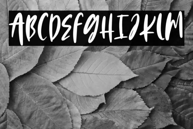 Sweet Gelatos フォント examples