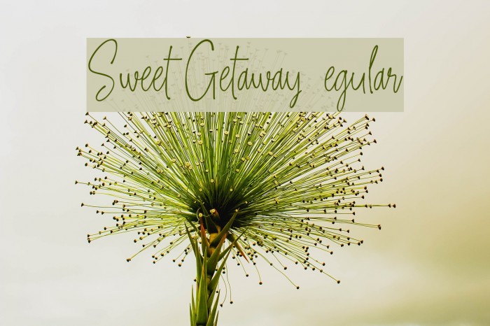 Sweet Getaway DEMO Regular Font examples