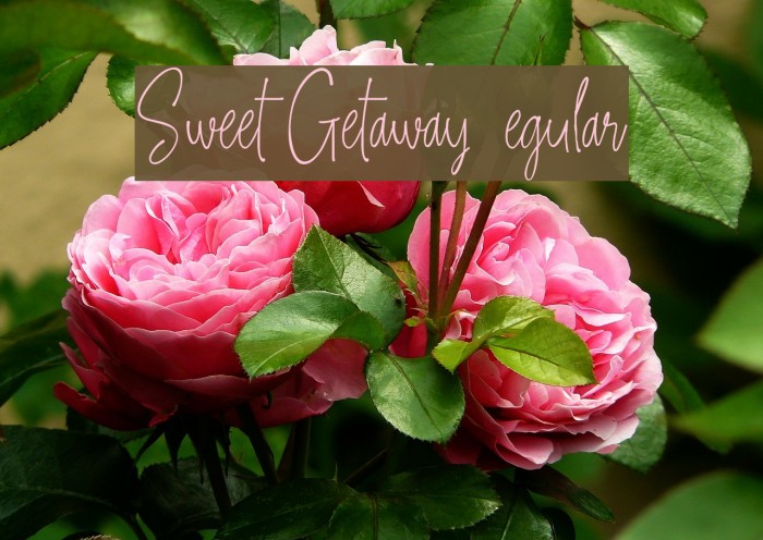 Sweet Getaway DEMO Regular Font examples