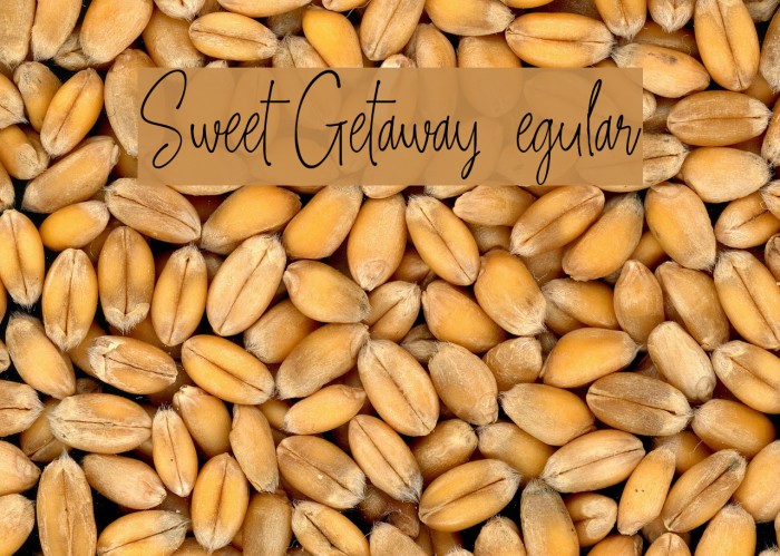 Sweet Getaway DEMO Regular Font examples