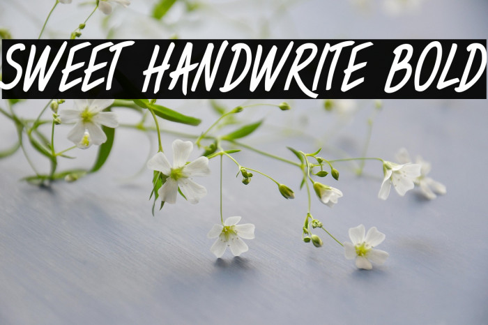 Sweet Handwrite Bold Example 1