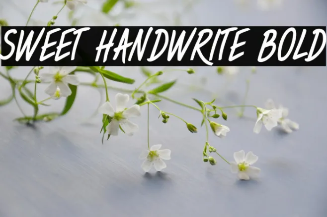 Sweet Handwrite Bold Example 1