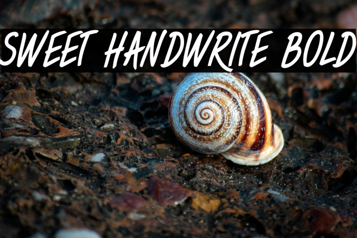 Sweet Handwrite Bold Example 3