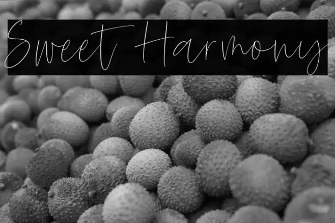 Sweet Harmony Font examples