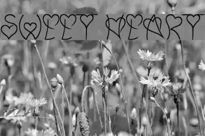 Sweet Heart Font examples