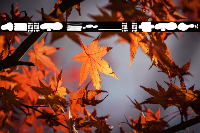 Sweet Home Extra Example 2