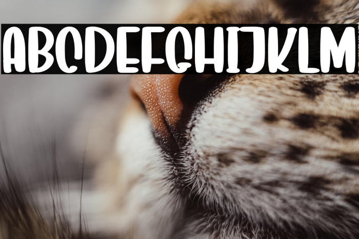 Sweet Home Example 2