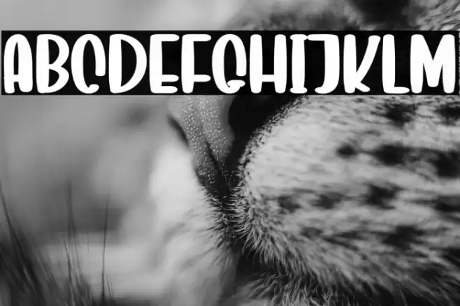 Sweet Home Font examples