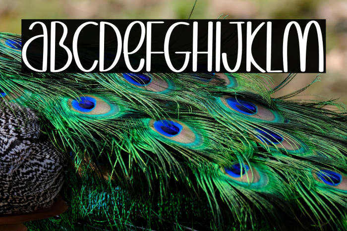 Sweet Honey Example 1