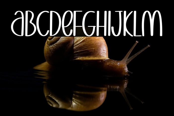 Sweet Honey Example 2