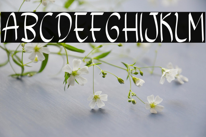 Sweet Juice Example 3