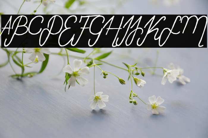 Sweet Lady Italic Example 1