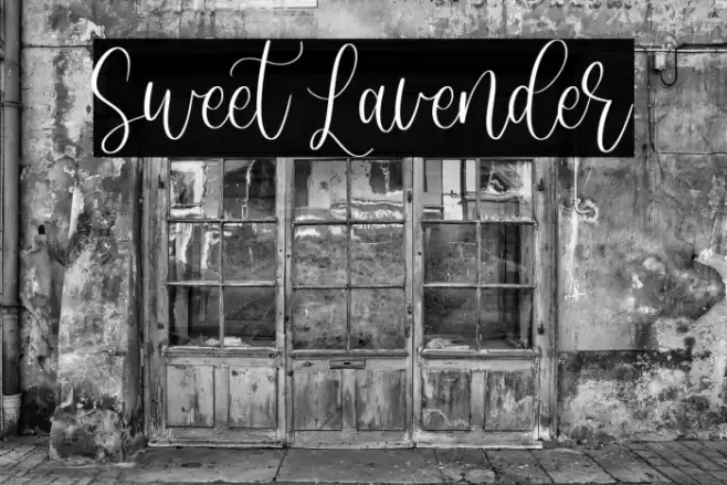 Sweet Lavender Polices examples