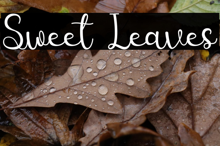 Sweet Leaves Example 1