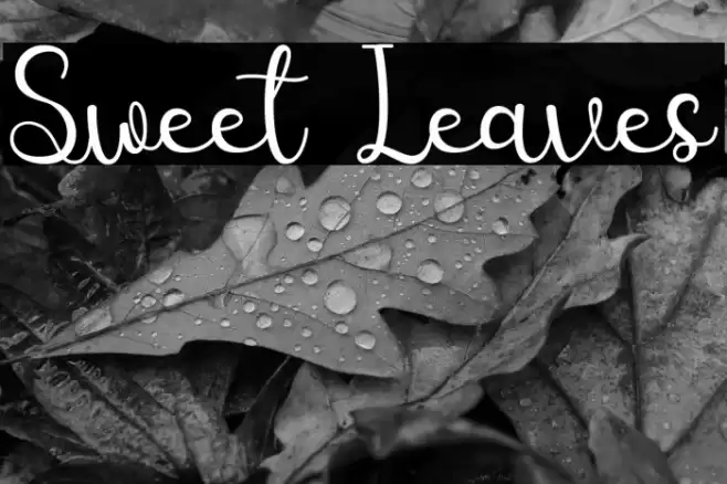 Sweet Leaves Font examples