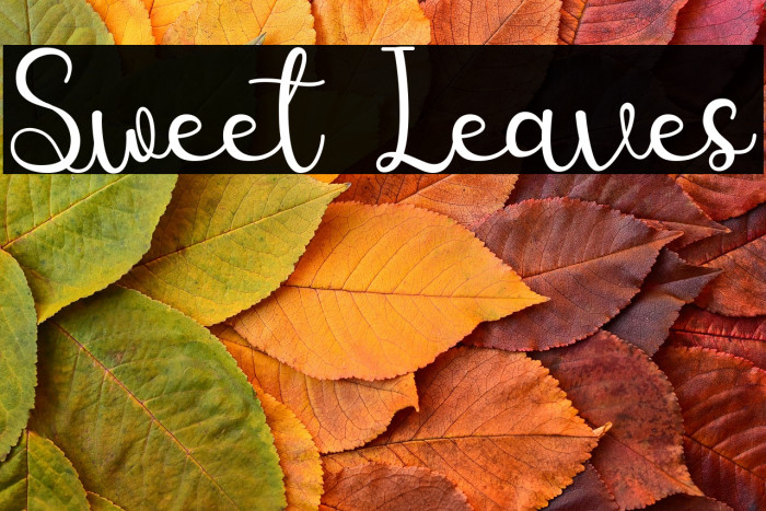 Sweet Leaves Example 2
