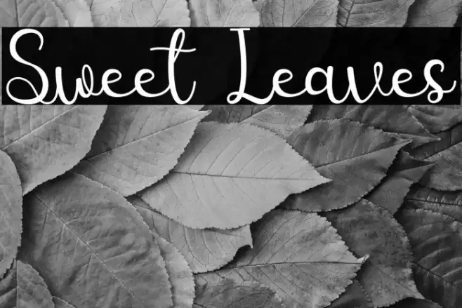 Sweet Leaves Font examples