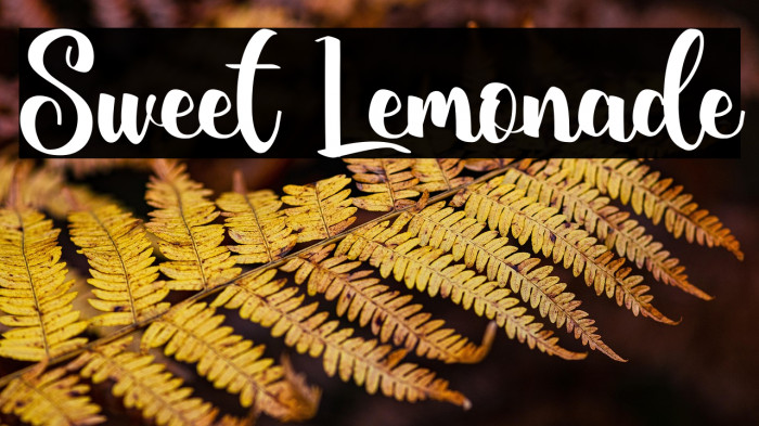 Sweet Lemonade Example 2