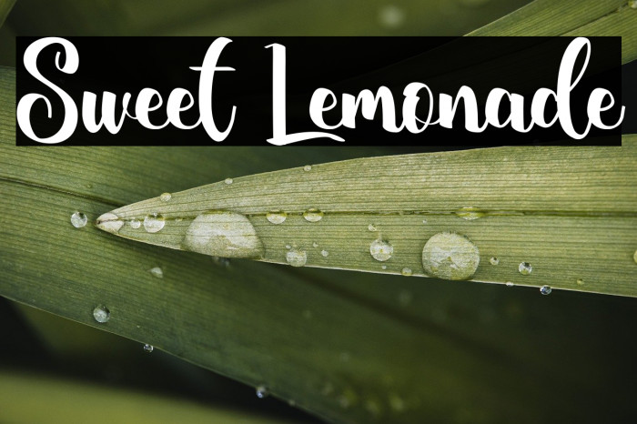 Sweet Lemonade Example 3