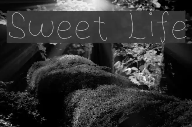 Sweet Life Font examples