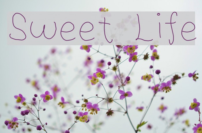 Sweet Life Font examples