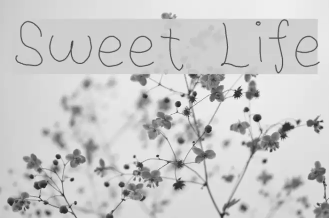 Sweet Life Font examples