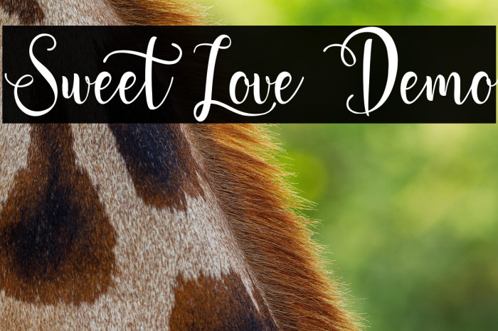 Sweet Love Demo Example 3