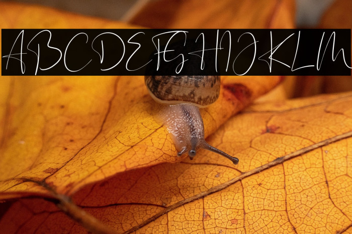 Sweet Madelyn Example 2