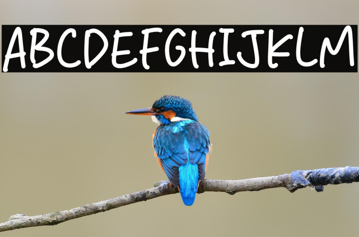 Sweet Melon Example 1