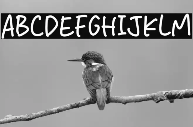 Sweet Melon Font examples