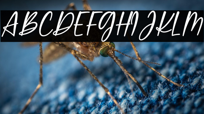 Sweet Meredith Example 2