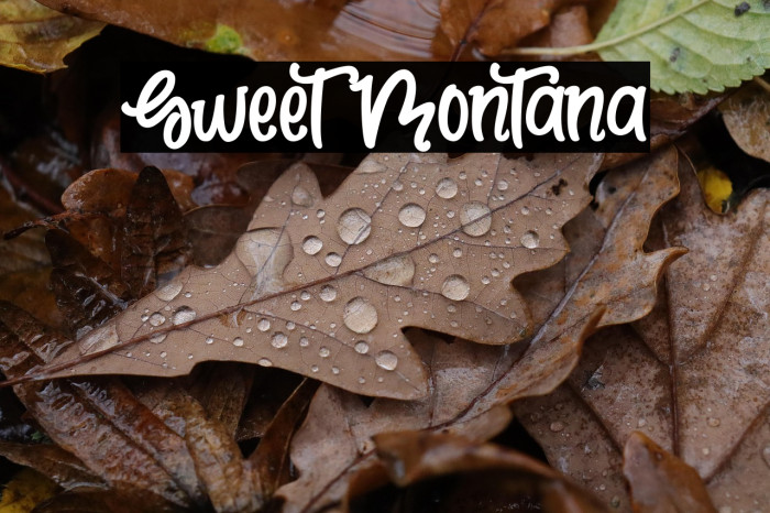 Sweet Montana Example 2