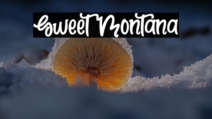 Sweet Montana Example 3