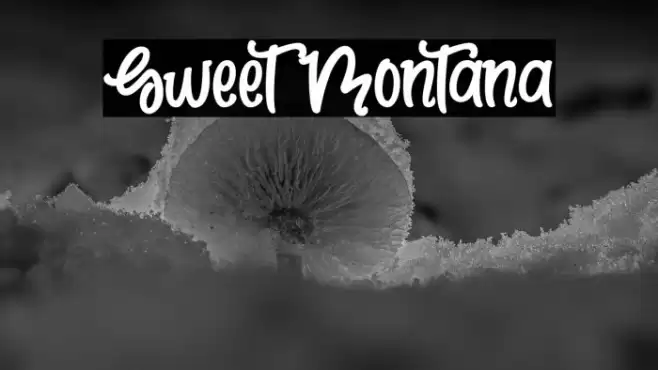 Sweet Montana Font examples
