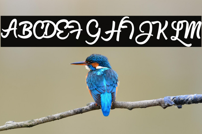 Sweet Movements Personal Use  Example 2