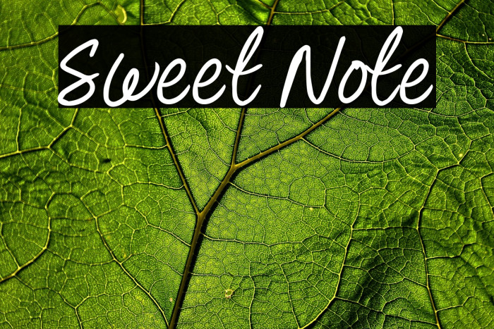 Sweet Note Example 2