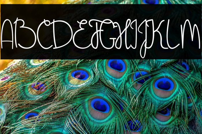 Sweet November Example 3