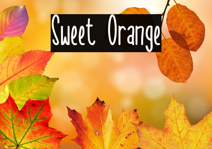 Sweet Orange Example 3