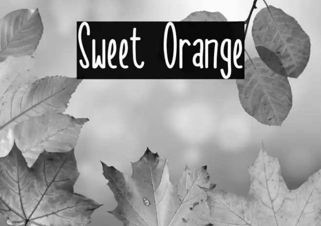 Sweet Orange Font examples