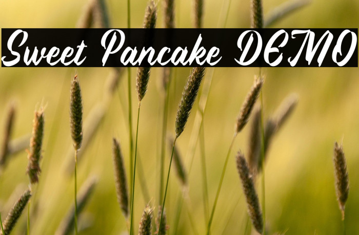Sweet Pancake DEMO Example 1