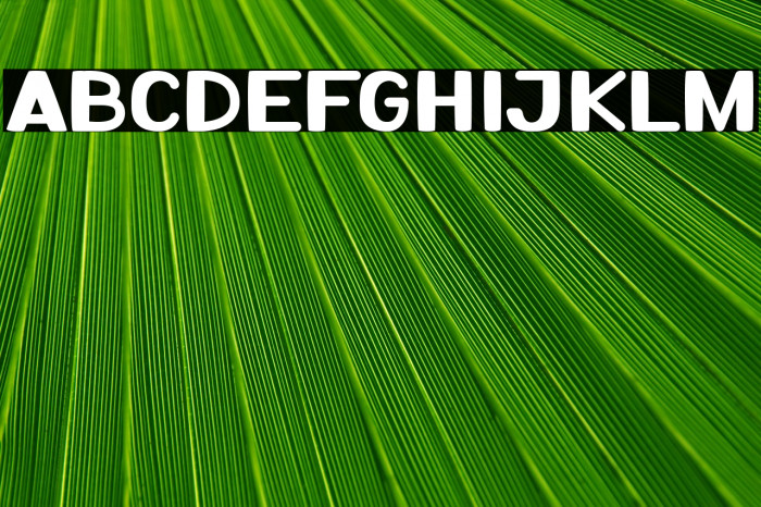 Sweet Pancakes Example 1